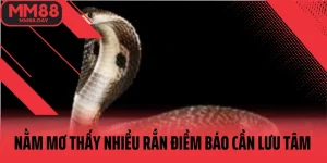 nam-mo-thay-nhieu-ran-diem-bao-can-luu-tam-va-con-so-may-man